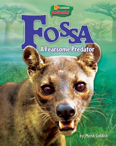 Fossa : a fearsome predator