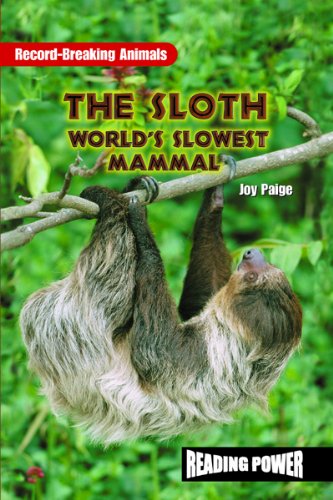 The sloth : world's slowest mammal