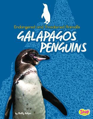 Galapagos penguins