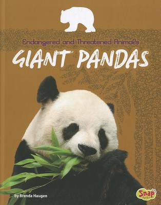 Giant pandas