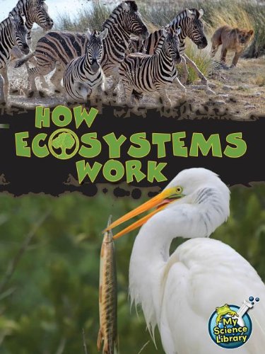 How ecosystems work