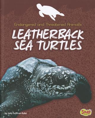 Leatherback sea turtles