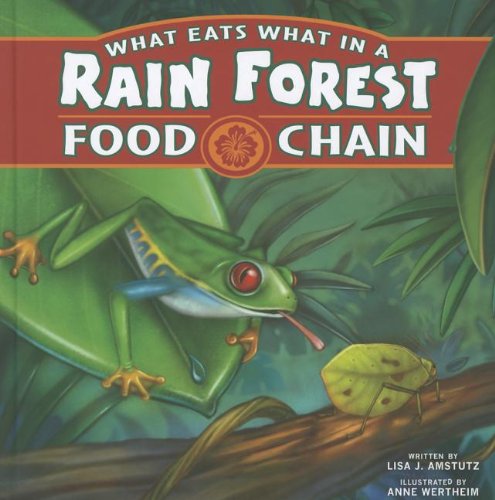 What eats what in a rain forest food chain