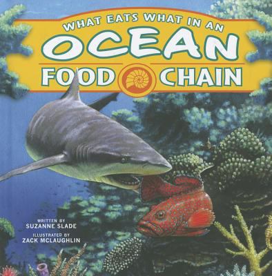 What eats what in an ocean food chain?