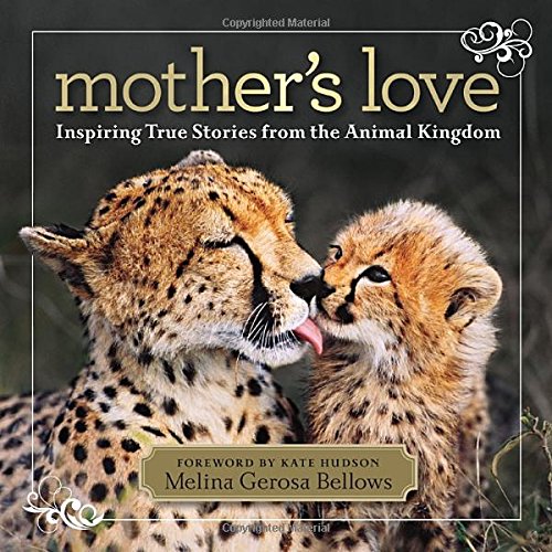 Mother's love : inspiring true stories from the animal kingdom