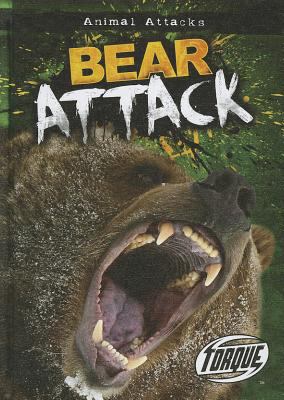 Bear attack