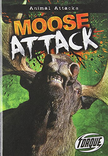 Moose attack