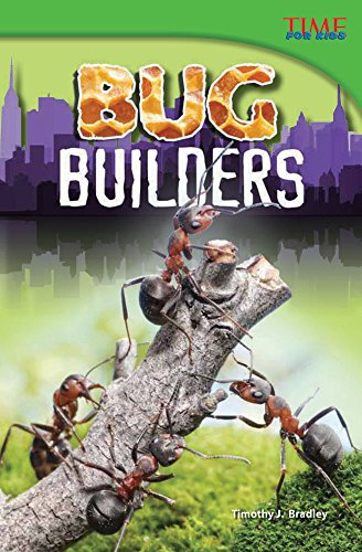 Bug builders