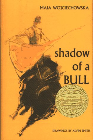 Shadow of a bull