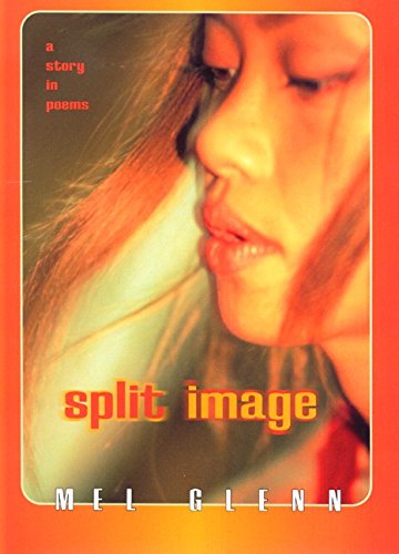 Split image : a story in poems