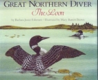 Great northern diver : the loon