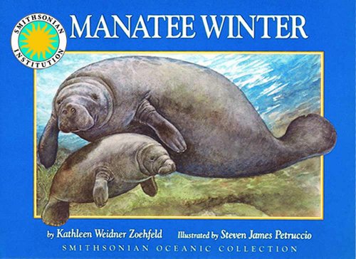 Manatee winter