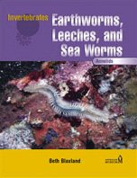 Earthworms, leeches, and sea worms : annelids