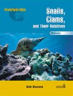 Snails, clams, and their relatives : mollusks