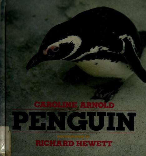 Penguin /