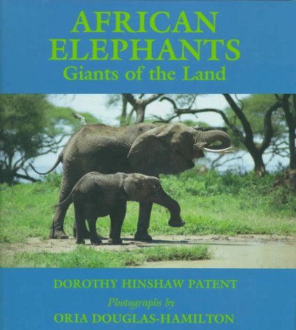 African Elephants : giants of the land