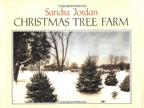 Christmas tree farm