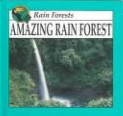 Amazing rain forest