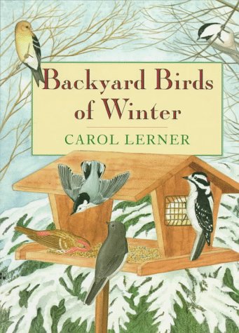 Backyard Birds Of Winter