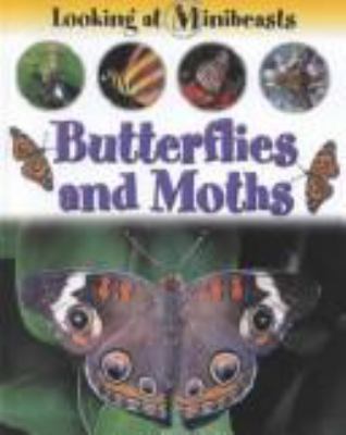 Butterflies and moths