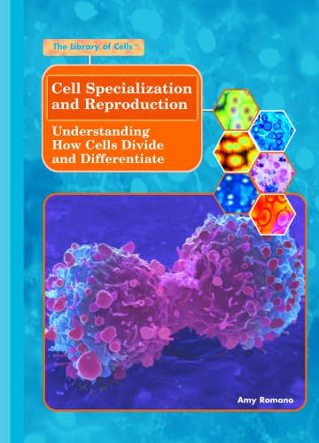 Cell specialization and reproduction : understanding how cells divide and differentiate