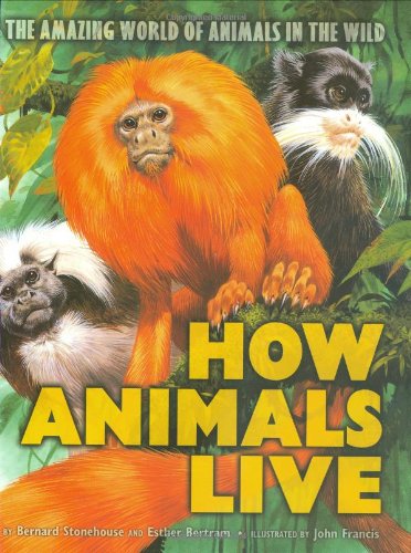 How animals live : the amazing world of animals in the wild