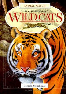 A visual introduction to wild cats