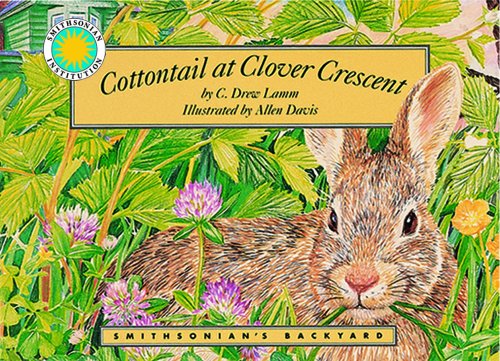 Cottontail at Clover Crescent