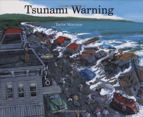 Tsunami warning