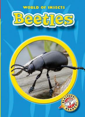 Beetles