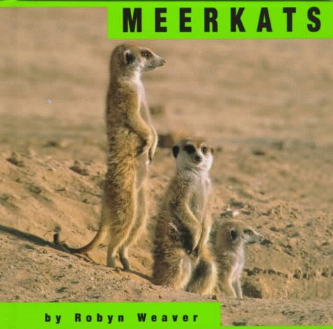 Meerkats