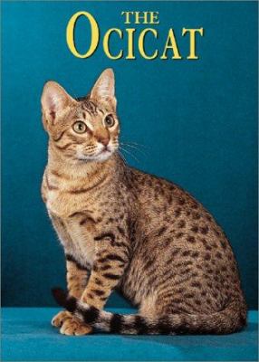 The Ocicat