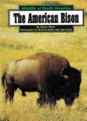 The American Bison