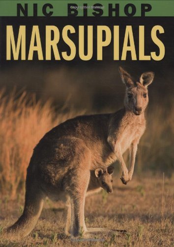 Nic Bishop marsupials.