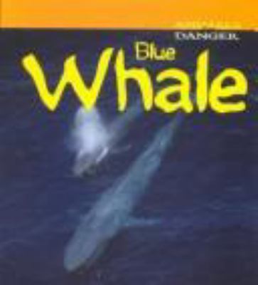 Blue Whale