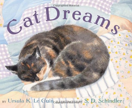 Cat dreams