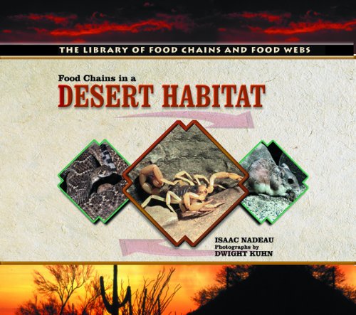 Food chains in a desert habitat