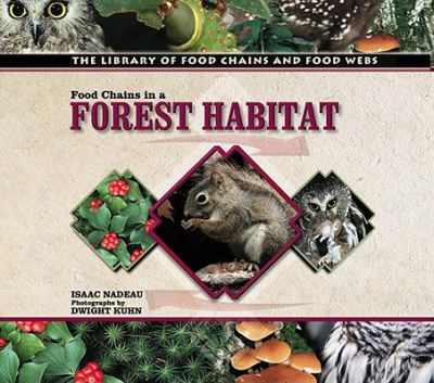 Food chains in a forest habitat