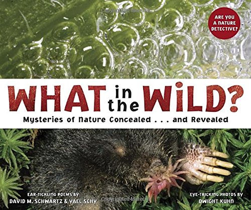 What in the wild? : mysteries of nature concealed-- and revealed ear-tickling poems