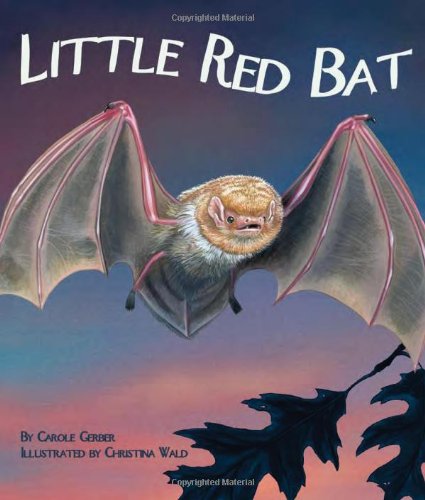 Little red bat