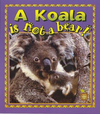 A Koala Is Not A Bear!