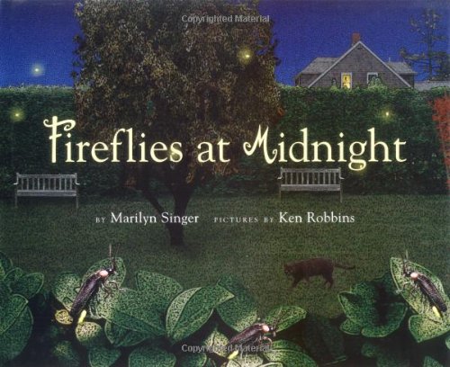 Fireflies at midnight