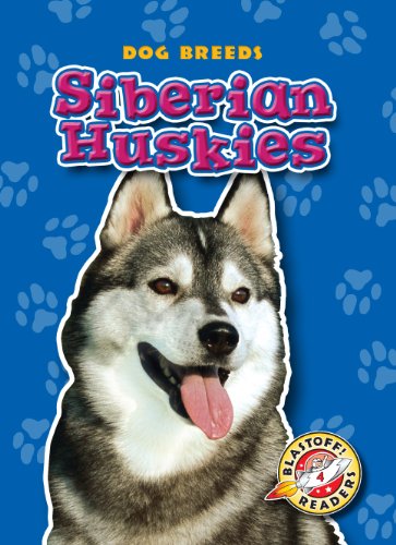 Siberian huskies