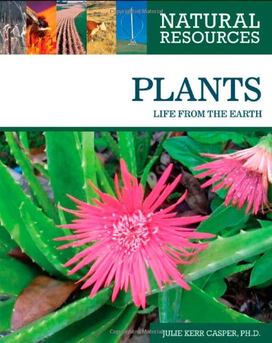 Plants : life from the earth