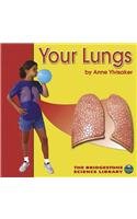 Your lungs