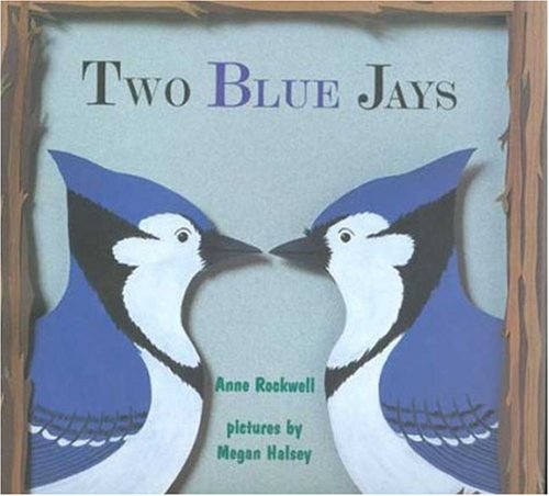 Two blue jays