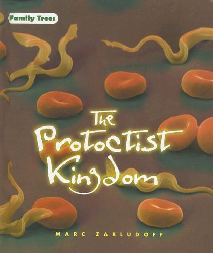 The Protoctist kingdom