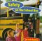 Safety on the school bus
