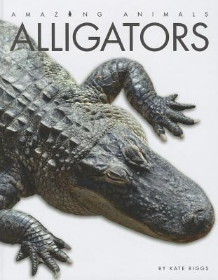 Alligators