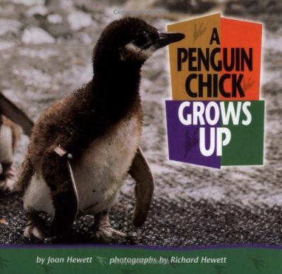A Penguin Chick Grows Up /